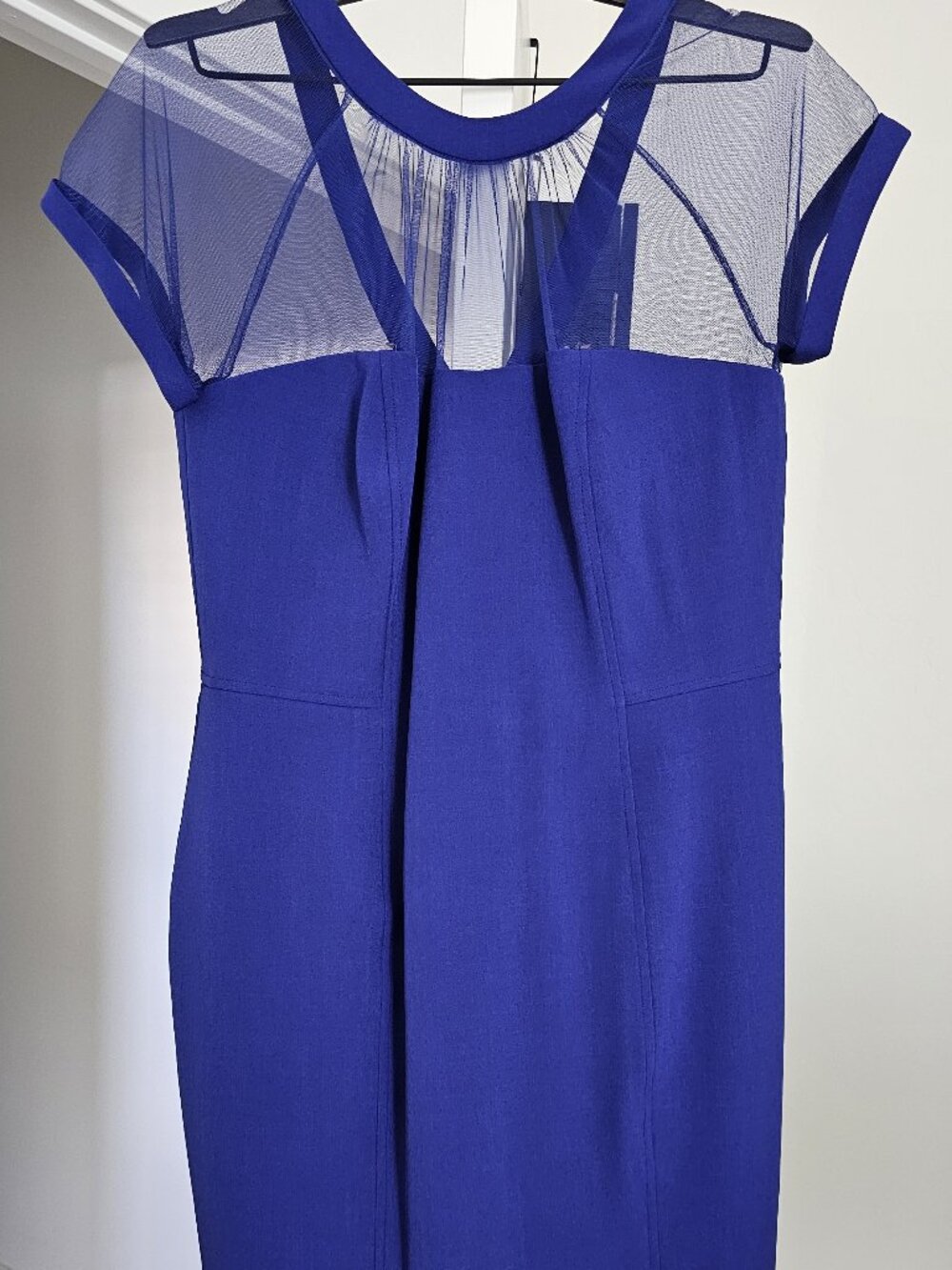 Scarlett Royal Blue Mesh Illusion Sheath Dress